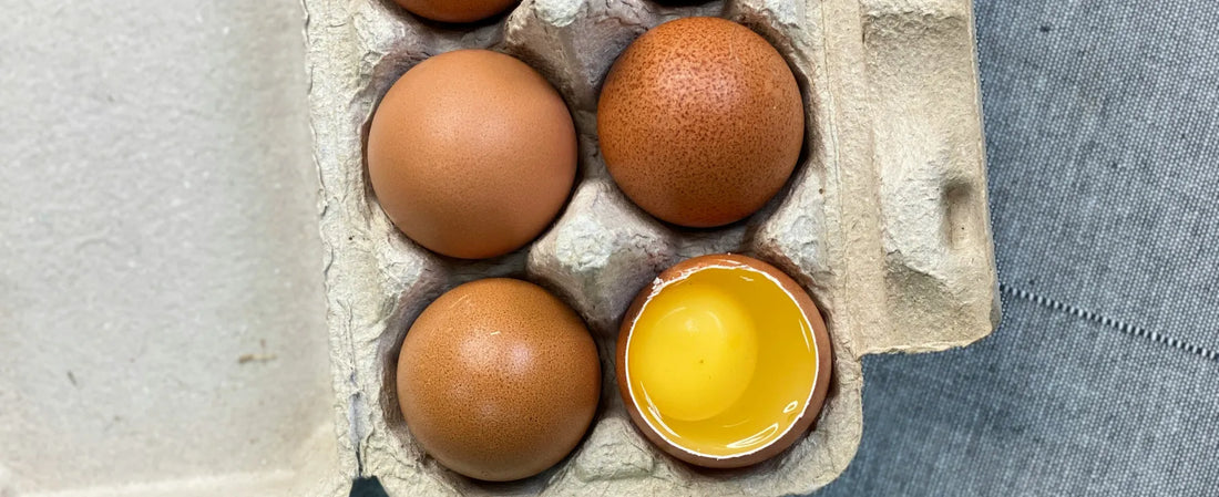 Is a pastel de nata like an English egg custard?